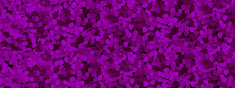 Vinilo holográfico - púrpura