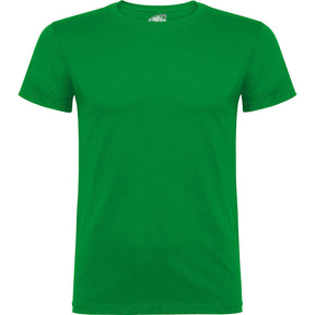 Camiseta económica niños beagle - pecho verde kelly