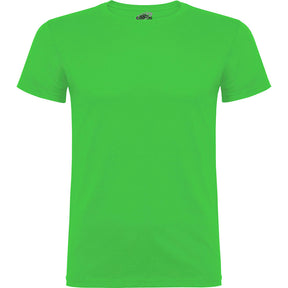 Camiseta económica niños beagle - pecho verde oasis